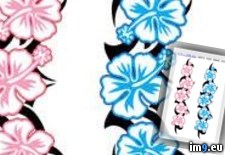 Tags: bands, blue, design, giant, hibs, pink, tattoo, tribal (Pict. in Flower Tattoos)