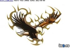 Tags: design, gitr6, tattoo (Pict. in Eagle Tattoos)