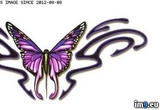 Tags: design, gitr8, tattoo (Pict. in Butterfly Tattoos)