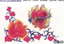 Tags: barbe, burning, design, glitter, heart, tattoo (Pict. in Rose Tattoos)