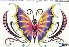 Tags: butterfly, design, glitter, tattoo (Pict. in Butterfly Tattoos)