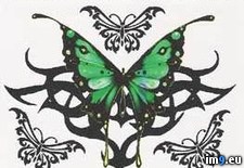 Tags: butterfly, design, green, tattoo (Pict. in Butterfly Tattoos)