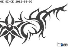 Tags: design, h421, tattoo (Pict. in Tribal Tattoos)