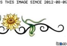 Tags: band, design, heart, petal, scale, sun, tattoo, tribal (Pict. in Tribal Tattoos)