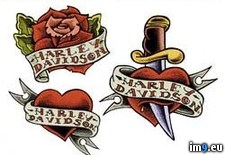 Tags: design, hearts, knife, tattoo (Pict. in Harley Tattoos)