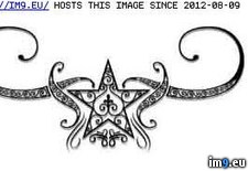 Tags: design, tattoo, tribal4 (Pict. in Tribal Tattoos)