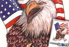 Tags: design, eagle, flag, tattoo, usa (Pict. in USA Tattoos)