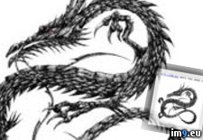 Tags: design, dragon, medium, oriental, scale, tattoo (Pict. in Dragon Tattoos)