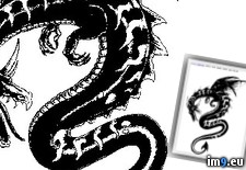 Tattoo Design: p2_1 (#Tattoo #Design ) - 48 KB Tags: design, tattoo (Pict. in Dragon Tattoos)