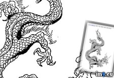 Tags: design, p58, tattoo (Pict. in Dragon Tattoos)