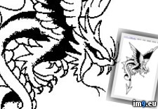 Tags: design, p65, tattoo (Pict. in Dragon Tattoos)