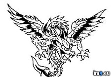 Tags: design, p71, tattoo (Pict. in Dragon Tattoos)