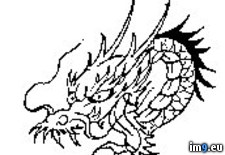 Tags: design, p75, tattoo (Pict. in Dragon Tattoos)