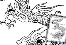 Tags: design, p77, tattoo (Pict. in Dragon Tattoos)