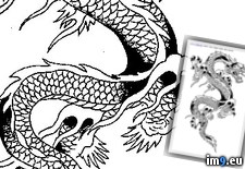 Tags: design, p78, tattoo (Pict. in Dragon Tattoos)