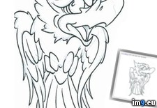 Tags: design, phoenix, tattoo (Pict. in Birds Tattoos)