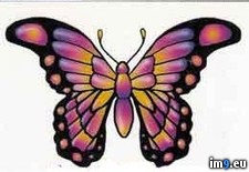 Tags: butterfly2, design, purplish, tattoo (Pict. in Butterfly Tattoos)