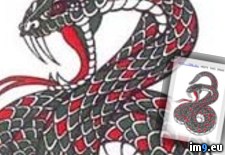 Tags: design, rattlesnake, striking, tattoo (Pict. in Snake Tattoos)