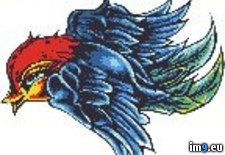 Tags: bird2, blue, design, red, tattoo (Pict. in Birds Tattoos)
