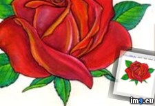 Tags: design, rose, tattoo (Pict. in Rose Tattoos)