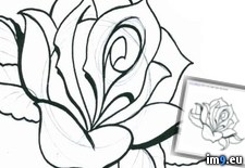 Tags: design, rose2, tattoo (Pict. in Rose Tattoos)