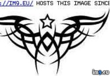 Tags: design, sm513, tattoo (Pict. in Tribal Tattoos)