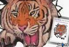 Tags: design, head, snarling, tattoo, tiger (Pict. in Tiger Tattoos)