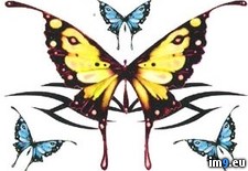 Tags: design, splb3, tattoo (Pict. in Butterfly Tattoos)