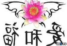 Tags: design, splb5, tattoo (Pict. in Flower Tattoos)