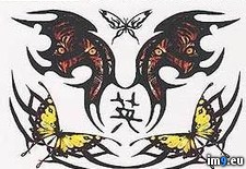 Tags: design, sptp3, tattoo (Pict. in Butterfly Tattoos)