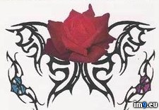 Tags: design, sptp9, tattoo (Pict. in Rose Tattoos)