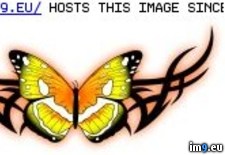 Tags: tattoo (Pict. in Butterfly Tattoos)