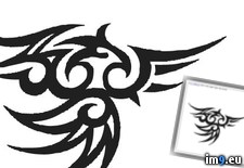 Tags: design, sunbird, tattoo (Pict. in Tribal Tattoos)