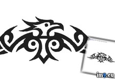 Tags: design, sunbird3, tattoo (Pict. in Tribal Tattoos)
