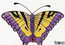Tags: design, swb12, tattoo (Pict. in Butterfly Tattoos)