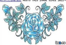 Tags: design, swf20, tattoo (Pict. in Rose Tattoos)