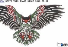Tags: design, owl, screech, swooping, tattoo (Pict. in Birds Tattoos)