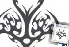 Tags: design, symbol5, tattoo (Pict. in Celtic Tattoos)