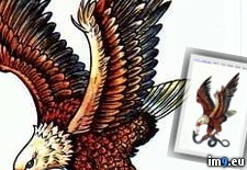 Tags: design, eagle, tattoo (Pict. in Eagle Tattoos)