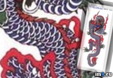 Tags: design, dragon, tattoo, thin (Pict. in Dragon Tattoos)