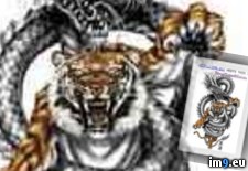 Tags: design, dragon, tattoo, tiger, wrap (Pict. in Tiger Tattoos)