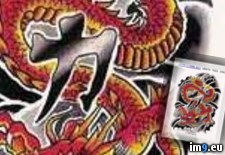 Tags: design, dragon, red, strength, tattoo, tjkvd (Pict. in Dragon Tattoos)