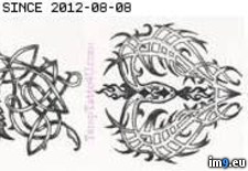 Tags: butterfly, design, rose, snake, tattoo, tkb075 (Pict. in Rose Tattoos)