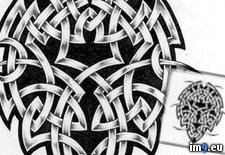 Tags: badge, design, tattoo, tribal (Pict. in Tribal Tattoos)