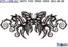 Tags: butterfly, design, tattoo, tribal (Pict. in Tribal Tattoos)