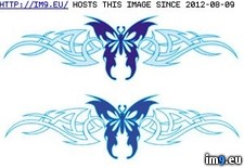Tags: butterfly3, design, tattoo, tribal (Pict. in Tribal Tattoos)
