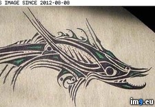 Tags: design, tattoo, tribal (Pict. in Tattoo Flash)