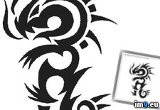 Tags: design, dragon, tattoo, tribal (Pict. in Dragon Tattoos)