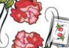 Tags: design, roses1, tattoo, tribal (Pict. in Rose Tattoos)