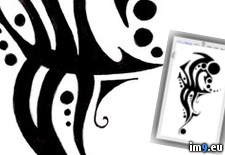 Tattoo Design: tribal3 (#Tattoo #Design #Tribal3) - 21 KB Tags: design, tattoo, tribal3 (Pict. in Tribal Tattoos)